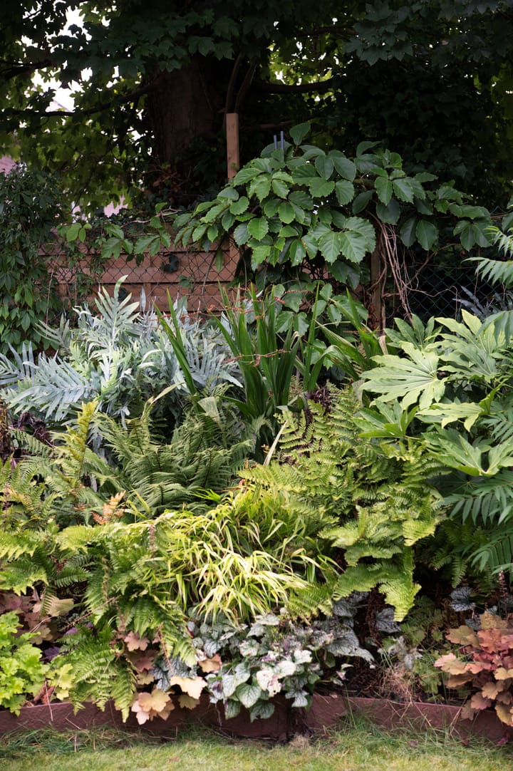 Foto 52 van Hoogstedelaan 69