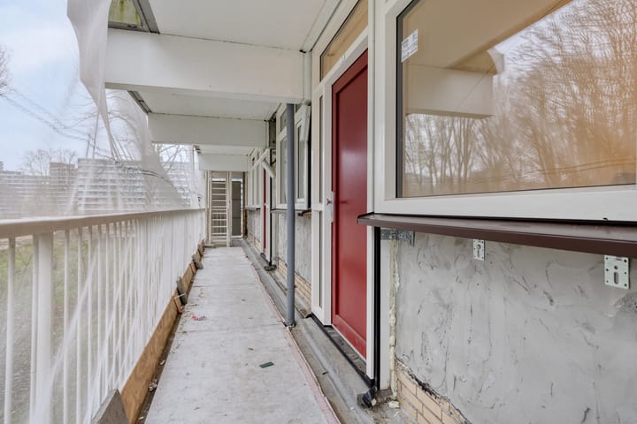 Photo 6 of Jonkerbos 3