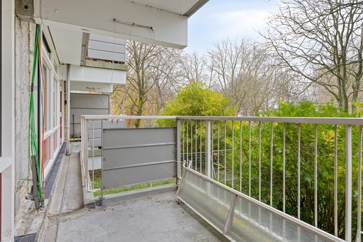 Photo 24 of Jonkerbos 3