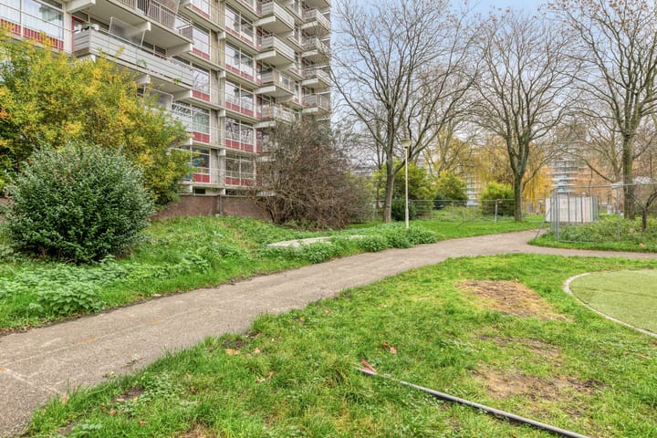 Photo 26 of Jonkerbos 3