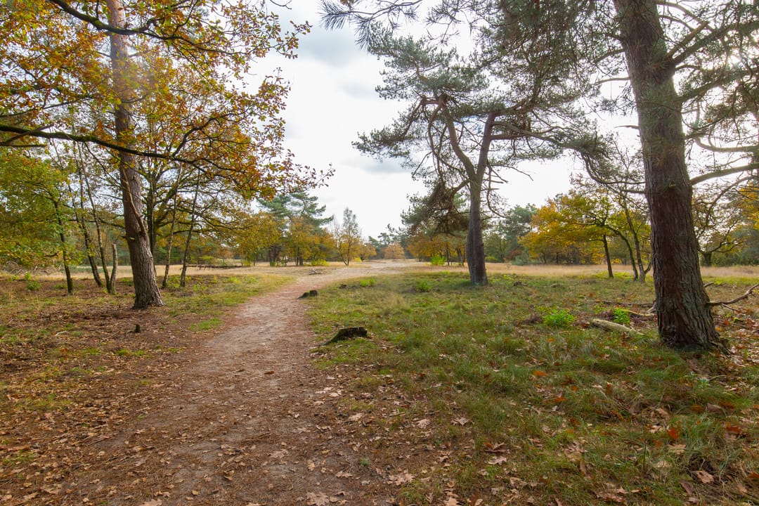 Photo 26 of Kerkendelweg 30-83