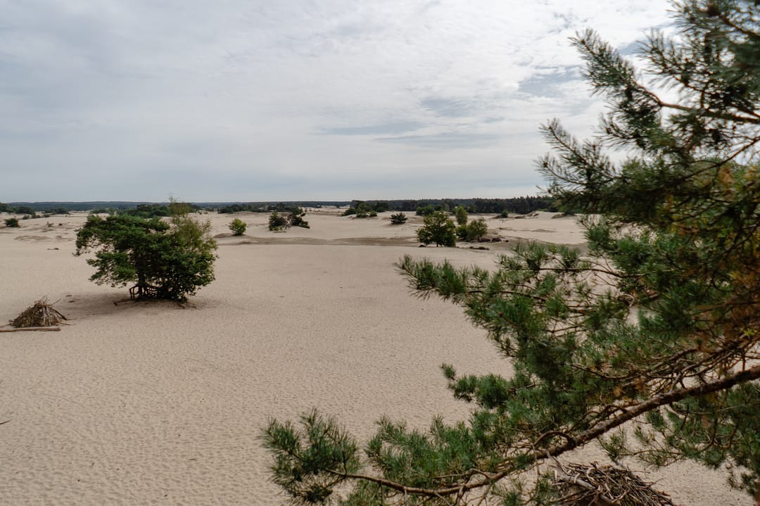 Photo 43 of Kerkendelweg 30-83