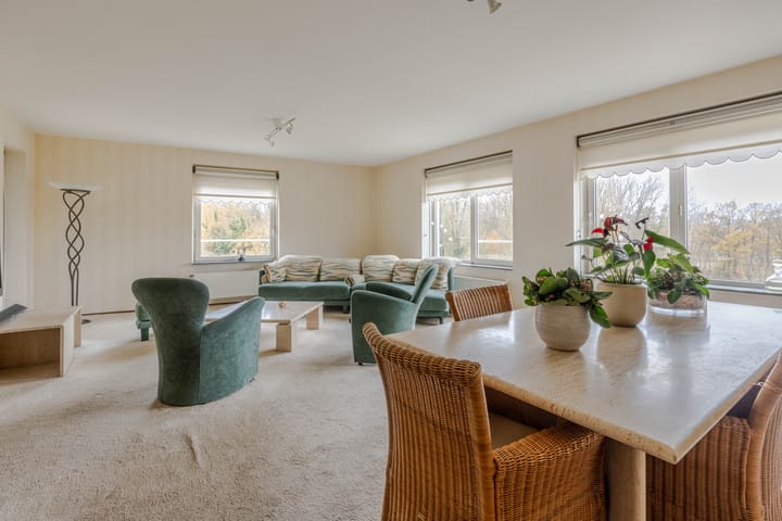 Foto 9 van Oldegaarde 230-C