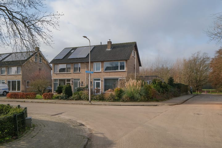 Foto 31 van G.B. Vloedbeldlaan 34