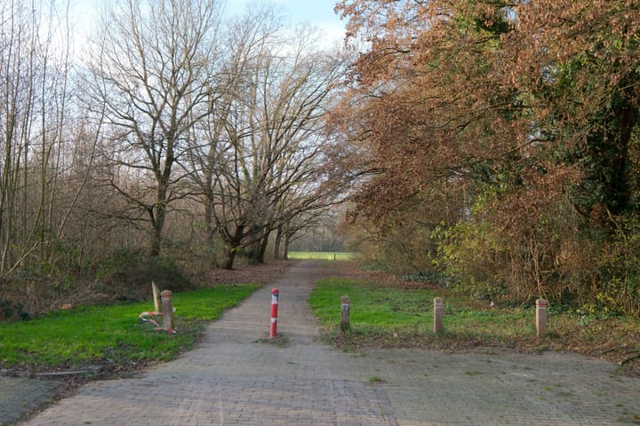 Foto 32 van G.B. Vloedbeldlaan 34