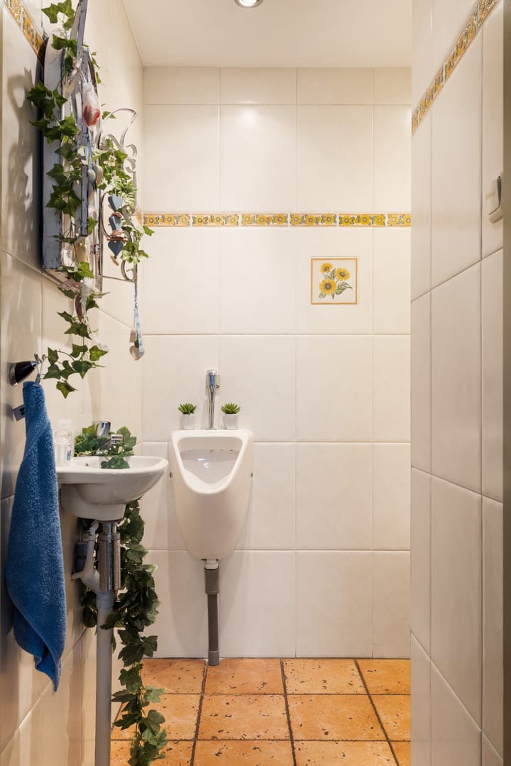 Foto 15 van Dorpsstraat 271