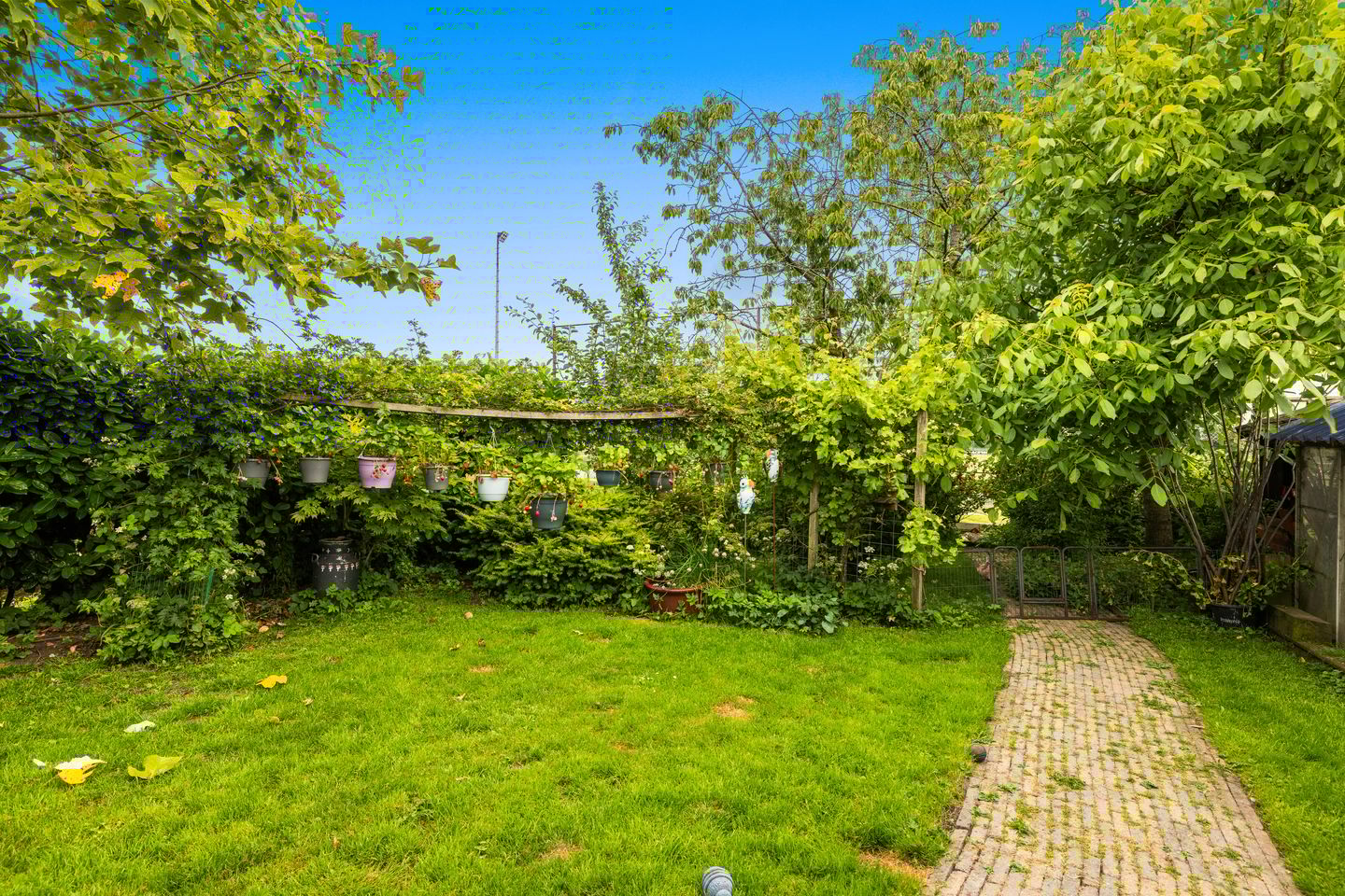 Foto 49 van Dorpsstraat 271