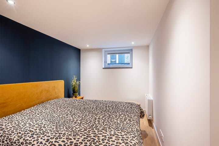 Photo 18 of Fenacoliuslaan 49