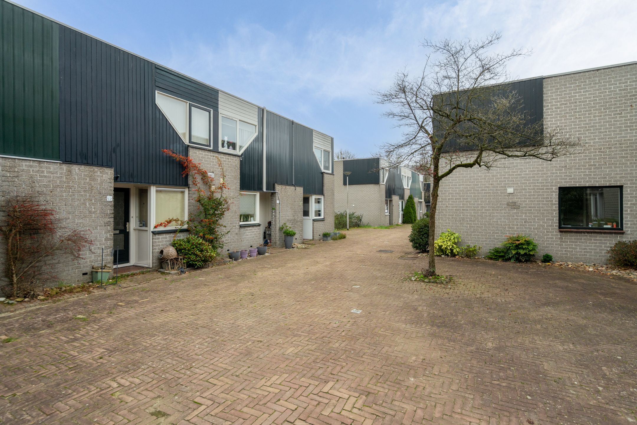 Foto 42 van Montbretiastraat 15