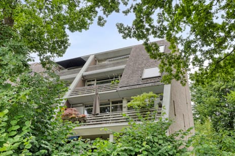 Barbarapad thumbnail