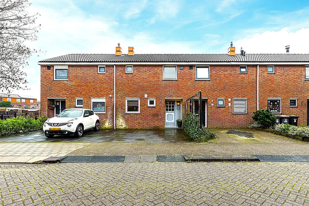 Foto 1 van Dotterbloem 12