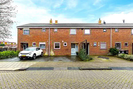 undefined main image