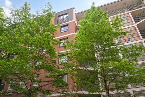 Muzenstraat thumbnail