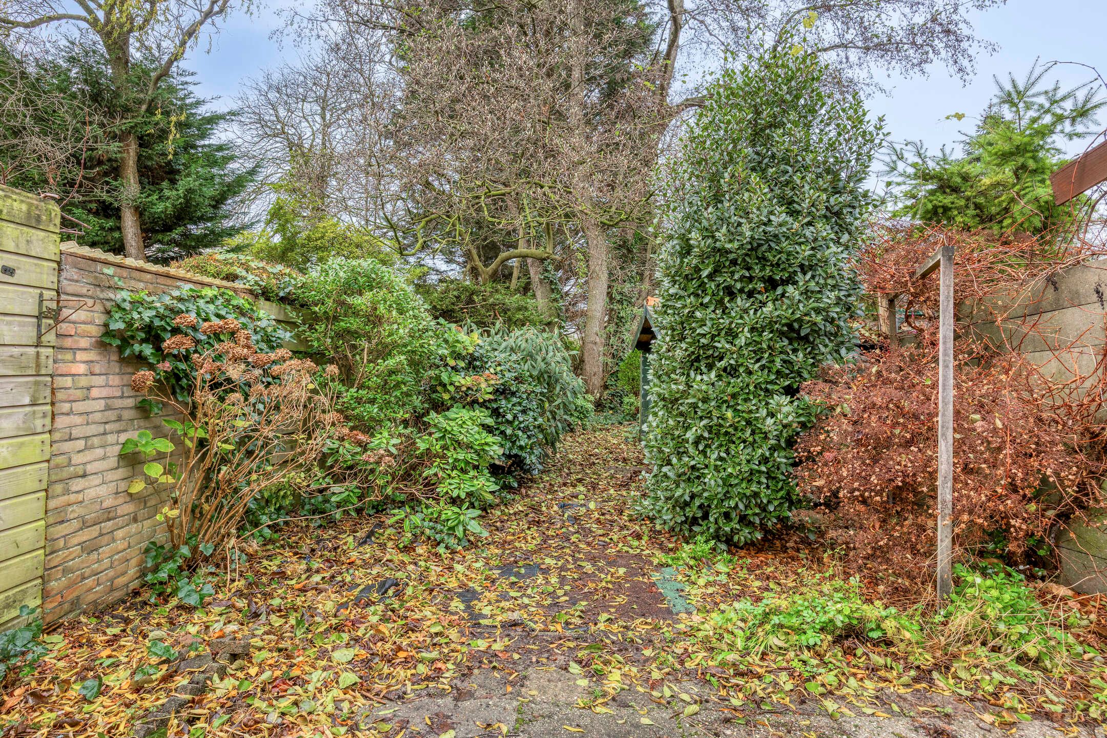 Foto 30 van van Assendelftstraat 41