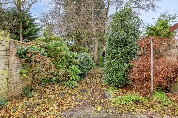 Foto 30 van van Assendelftstraat 41