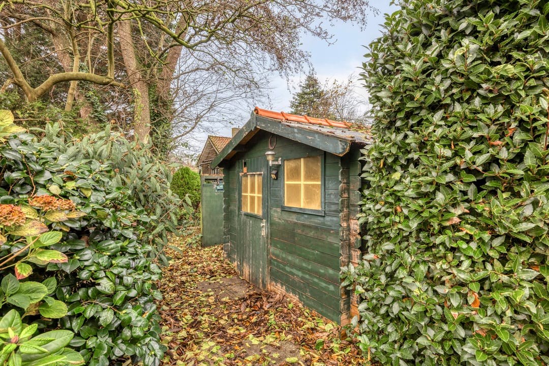 Foto 31 van van Assendelftstraat 41