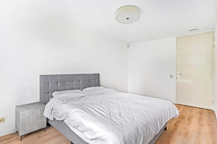 Photo 10 of Forel 38