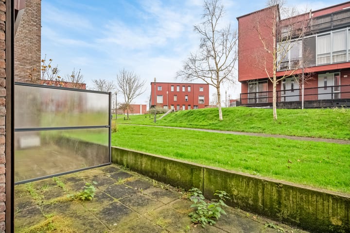 Photo 12 of Forel 38