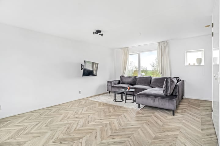 Photo 27 of Forel 38