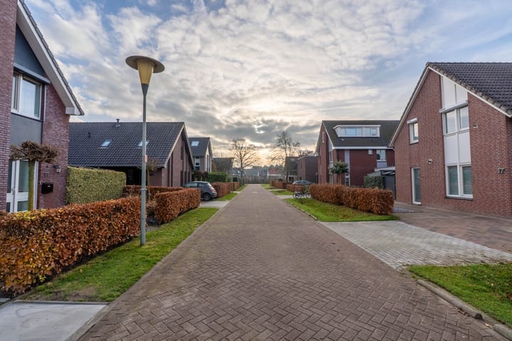 Foto 10 van Lavendelheide 11