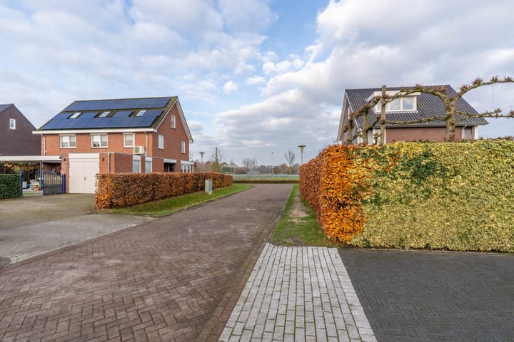 Foto 11 van Lavendelheide 11