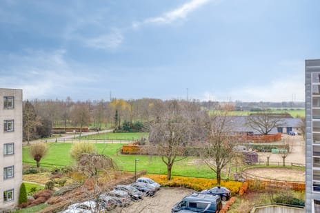 Hof van Cambridge 33 tertiary image