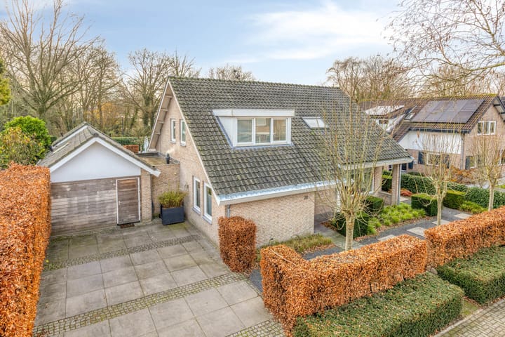 Maasland 20 main image