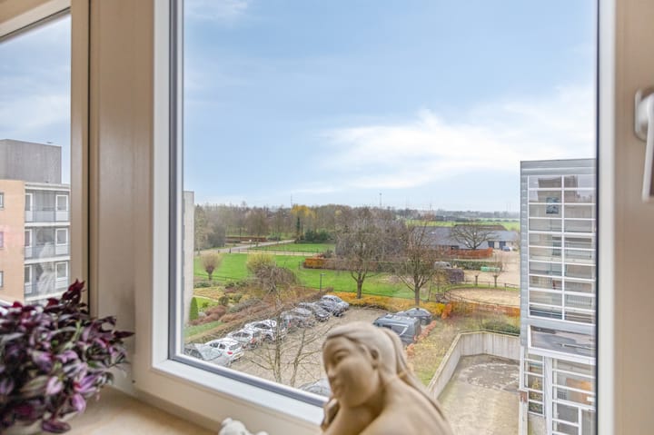 Photo 16 of Hof van Cambridge 33