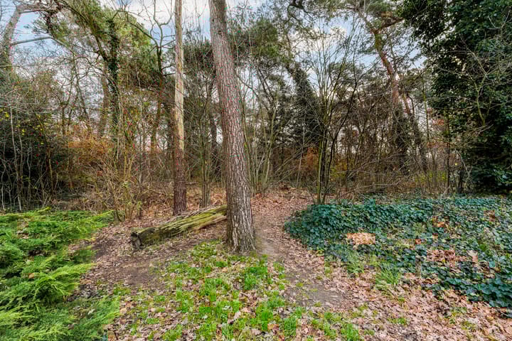 Foto 54 van Dijkshornhof 8