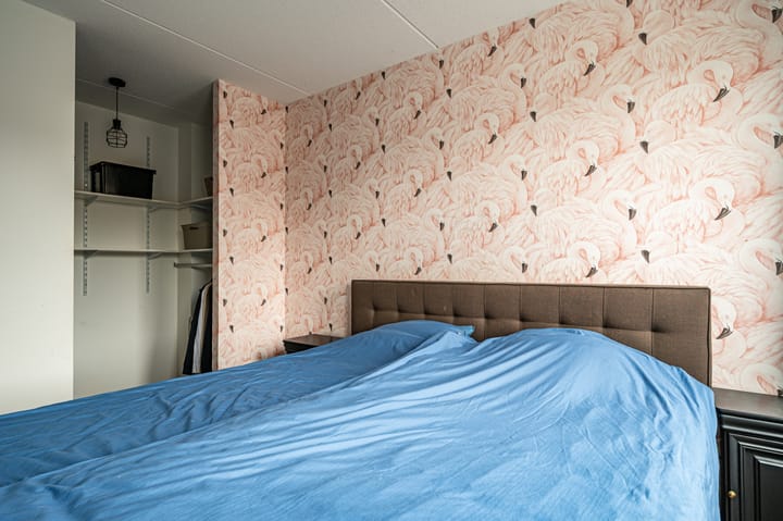 Photo 23 of Gentiaan 17