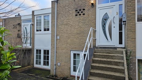 undefined main image