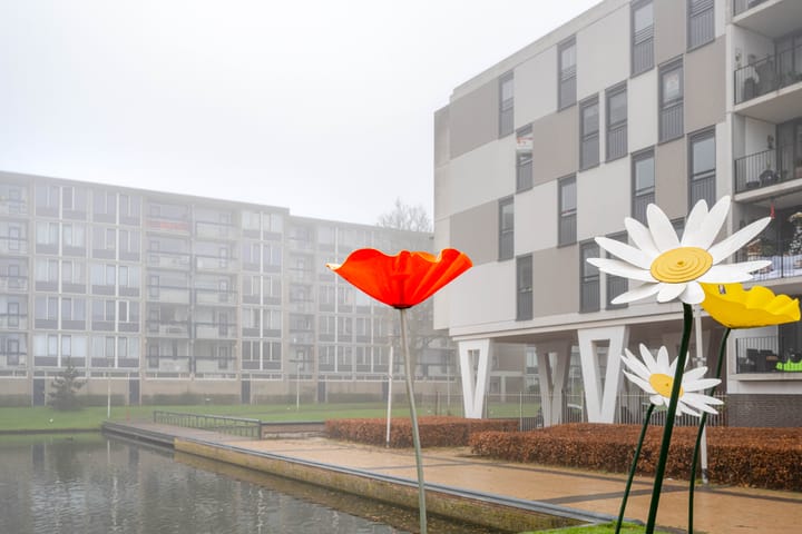 Photo 1 of Plein 1953 214