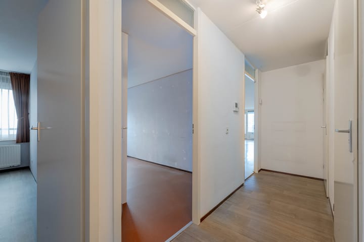 Photo 8 of Plein 1953 214