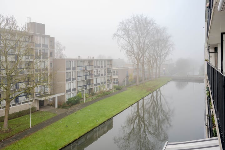 Photo 14 of Plein 1953 214