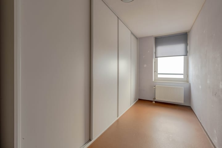 Photo 15 of Plein 1953 214