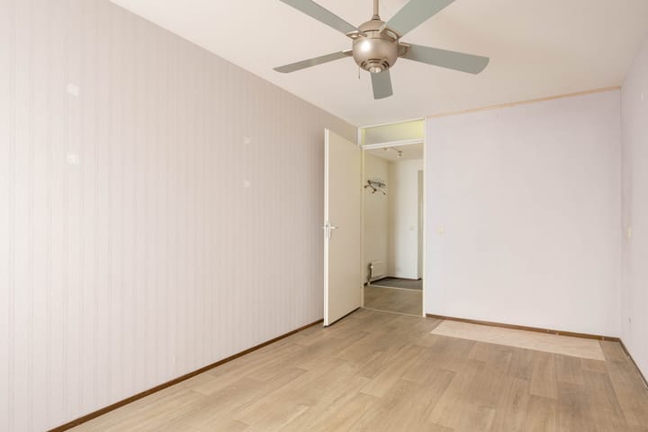 Photo 17 of Plein 1953 214