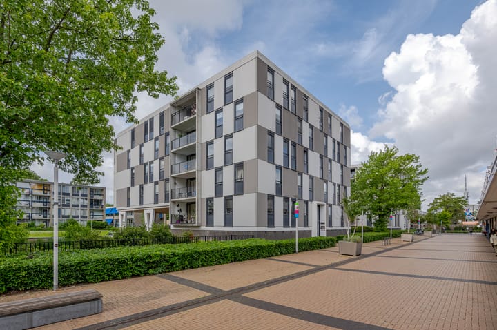 Photo 23 of Plein 1953 214