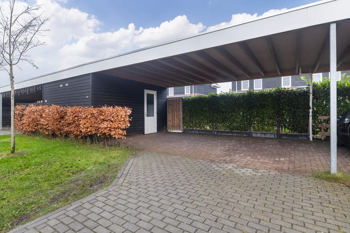 Photo 21 of Dielsfinne 23