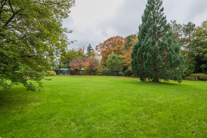 Foto 17 van Oranje Nassaulaan 12