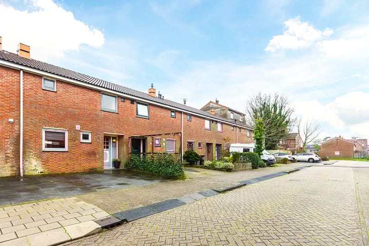 Foto 4 van Dotterbloem 12