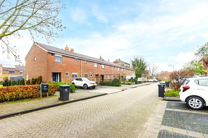 Foto 41 van Dotterbloem 12