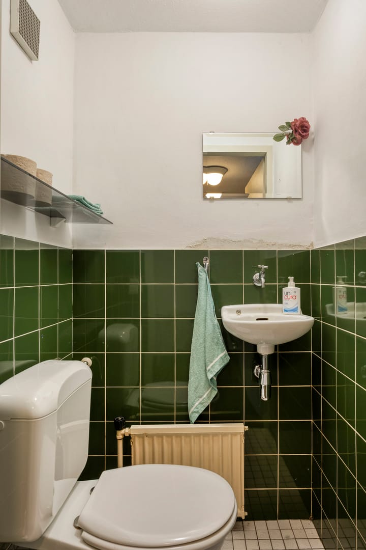 Foto 9 van de Leegte 75