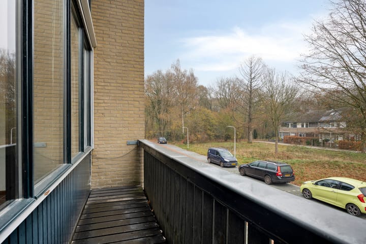 Foto 16 van de Leegte 75