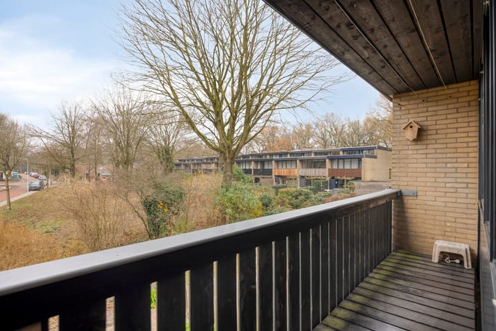 Foto 28 van de Leegte 75