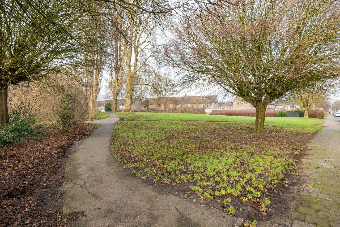 Foto 44 van Pleiaden 9