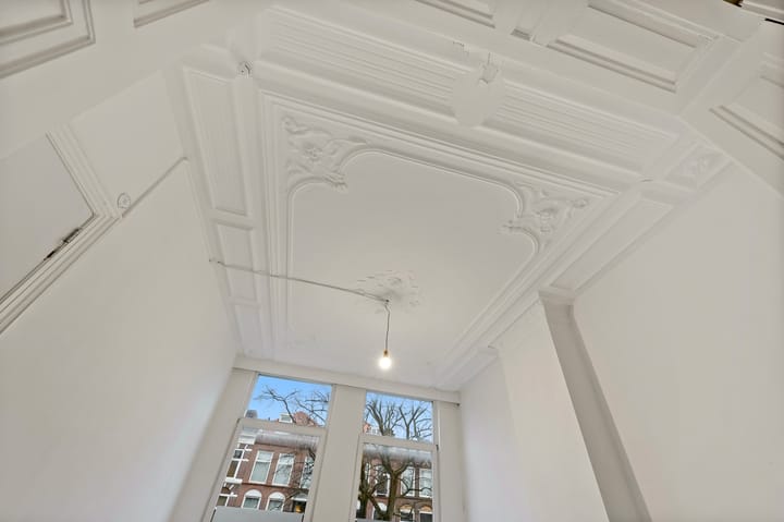 Foto 4 van Regentesselaan 264