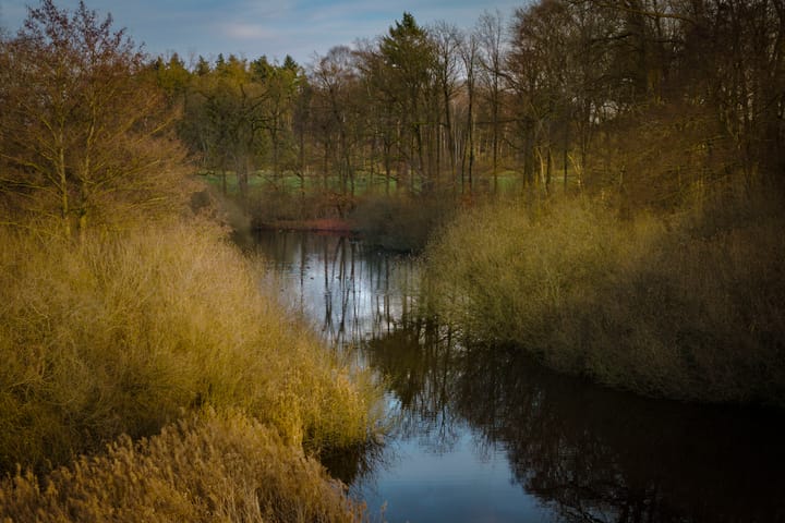 Photo 49 of Harriët Freezerstraat 8