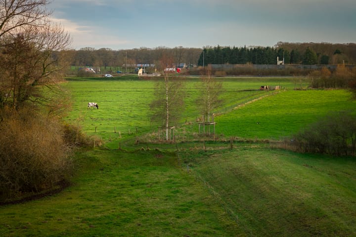 Photo 50 of Harriët Freezerstraat 8