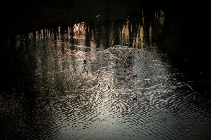 Photo 51 of Harriët Freezerstraat 8