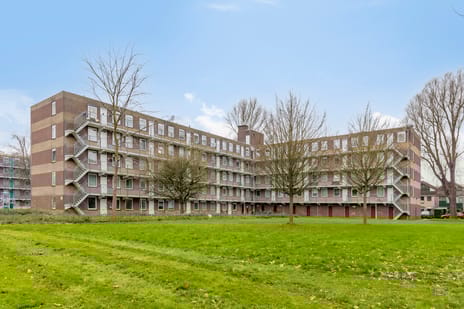 Fluitekruidweg thumbnail